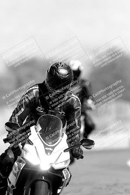 media/Nov-06-2023-Moto Forza (Mon) [[ce023d0744]]/4-Beginner Group/Session 3 (Track Exit)/